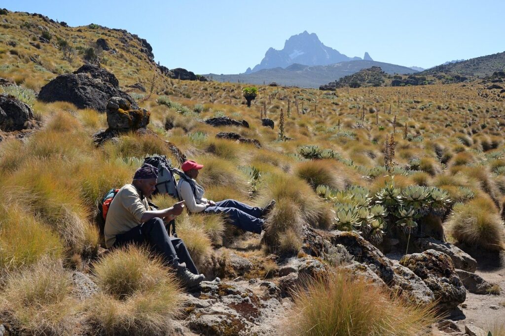 mount kenya, hikers, mountain, landscape, flora, hiking, trekking, kenya, africa, nature, sky, wilderness, outdoors, rocks, grass, mount kenya, mount kenya, mount kenya, mount kenya, mount kenya, kenya