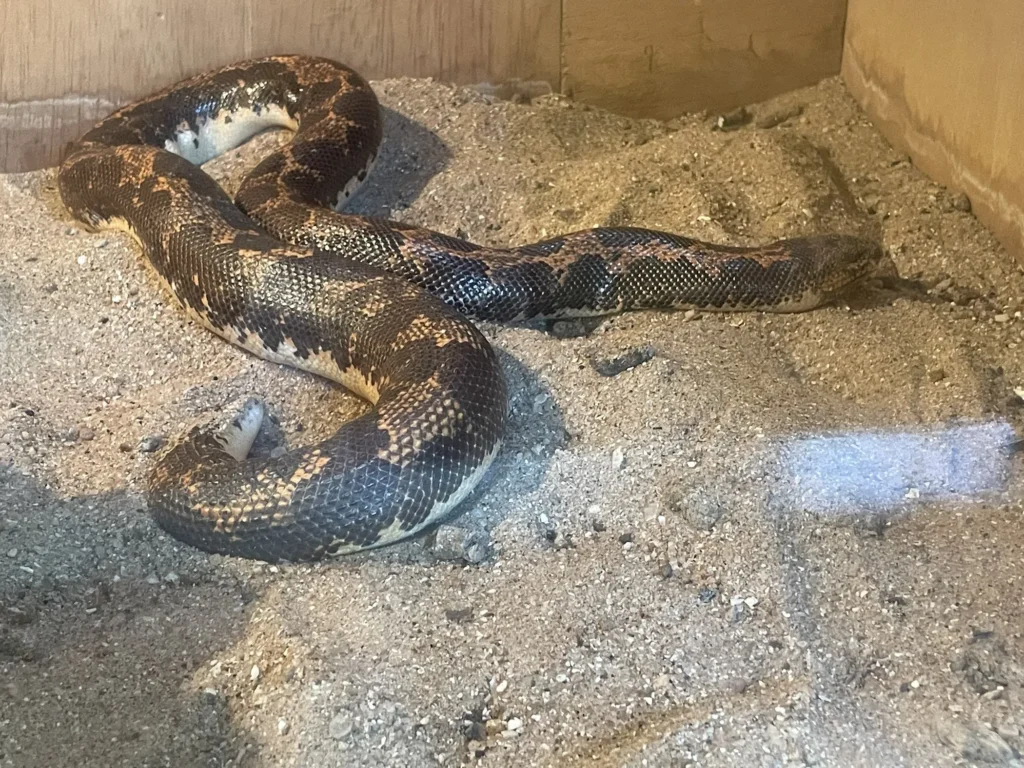 Reptile enclosures at the Nairobi Snake Park beside the national museum